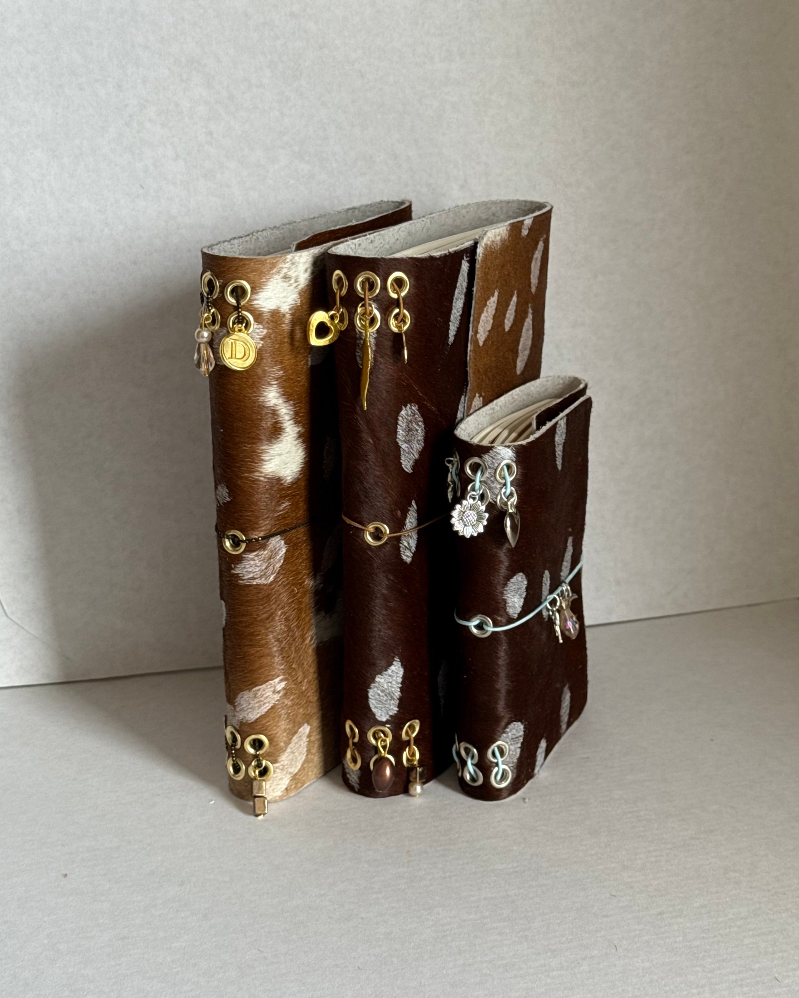 Journal A5 – BAMBI