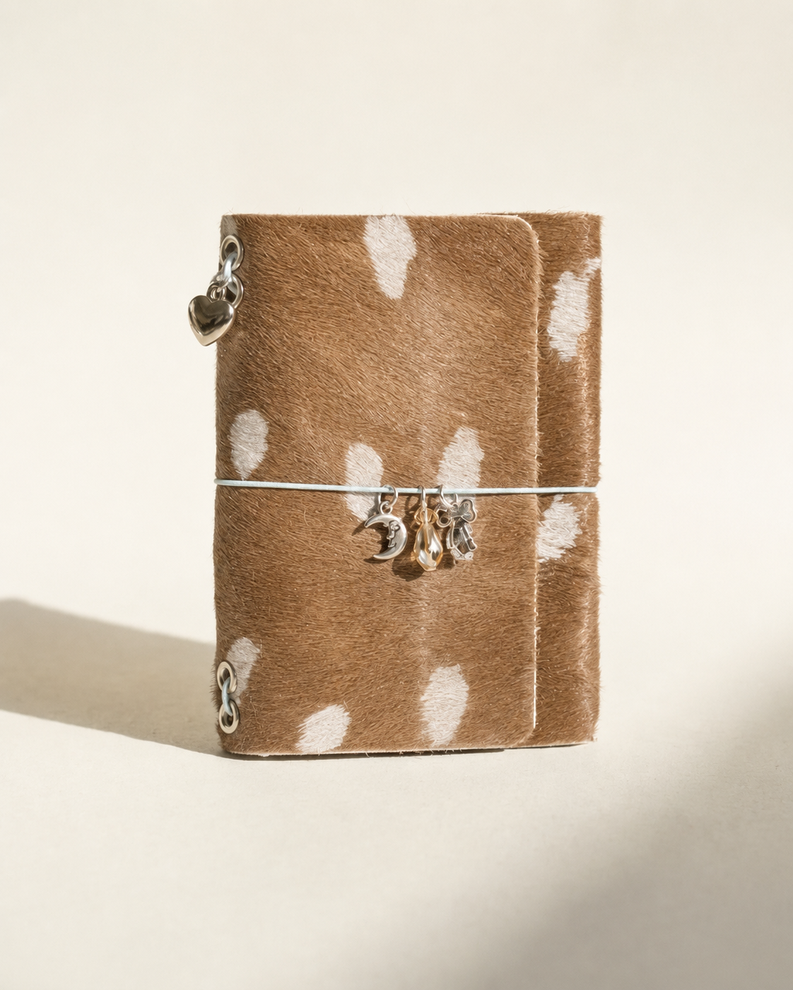 Journal A6 – BAMBI