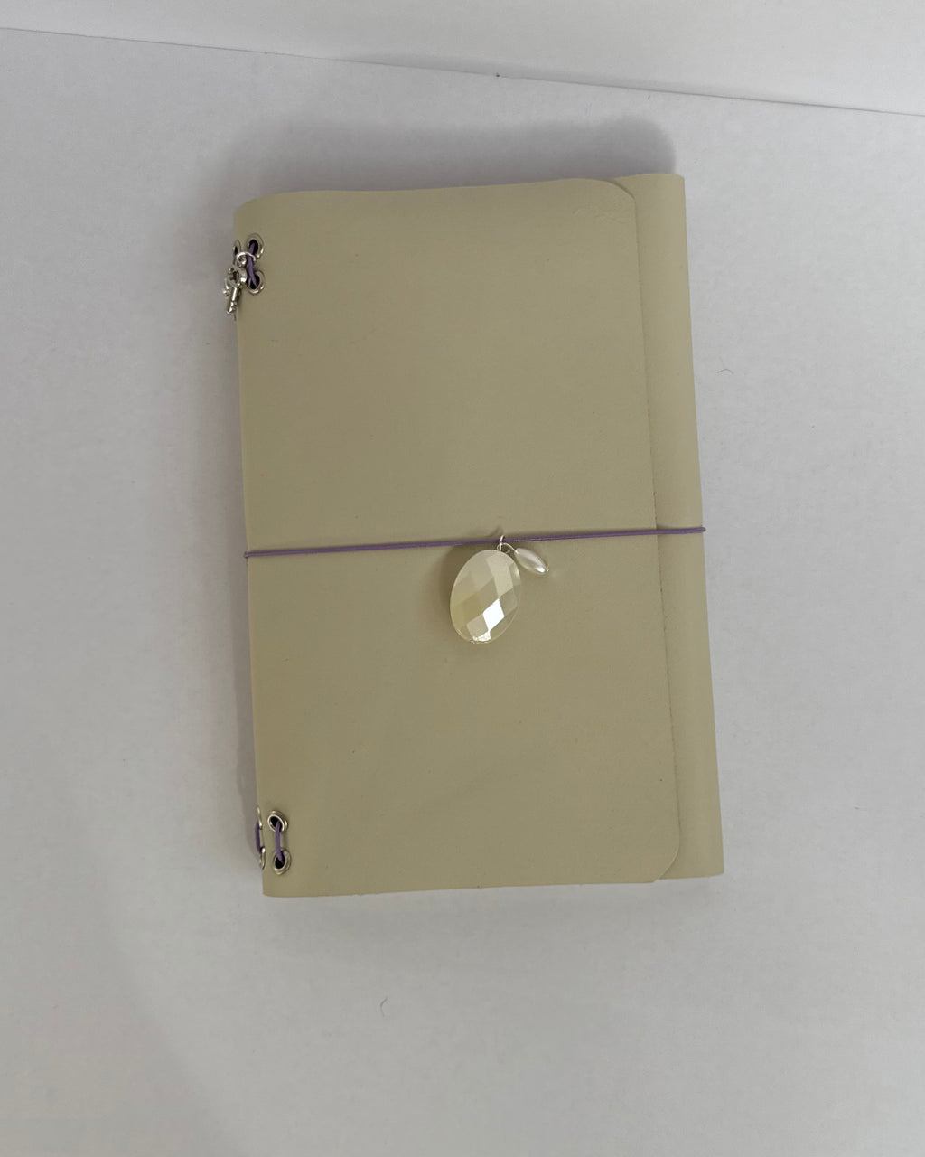 Journal - Ivory